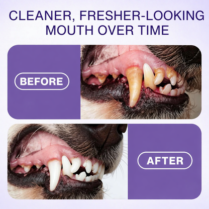 🦷 Tiworld™ Pet Oral Spray | Fresher Breath, Zero Brushing