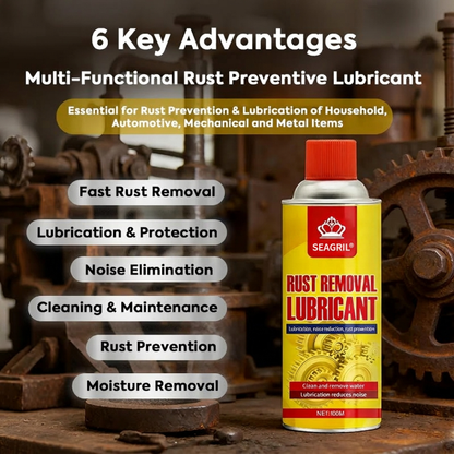 Anti-Rust Lubricant Spray & Rust Remover
